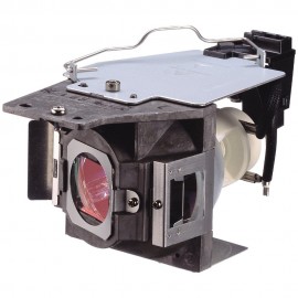 HFY 5J.J7L05.001 Replacement Projector Lamp Bulb with Housing for BENQ W1070 / W1080ST
