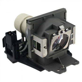Fast Shipping Brand New Replacement  Projector Lamp With Housing 5J.06001.001 for BENQ MP612 MP612C MP622 MP622C