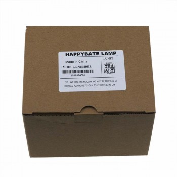 UHE-200E2-C Replacement Projector Lamp / Bulb FOR GRAND ELP50 ELP53 ELP54 ELP55 ELP56 ELP57 ELP58 ELP67 ELP42
