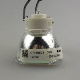 NP15LP/60003121 New Original USHIO Projector Bare Lamp For NEC M230X / M260W / M260X / M260XS / M300X / M230XG