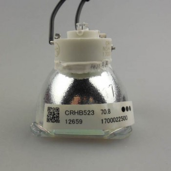 NP15LP/60003121 New Original USHIO Projector Bare Lamp For NEC M230X / M260W / M260X / M260XS / M300X / M230XG