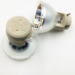 100% Original projector bulb lamp  W1070 W1070+ W1080 W1080ST HT1085ST HT1075 W1300  P-VIP 240/0.8 E20.9n 5J.J7L05.001 for BENQ