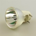 NP-U250X NP-U250XG NP-U260W NP-U260W+ NP-U260WG Replacement Projector Lamp Bulb NP19LP for NEC P-VIP 230/0.8 E20.8