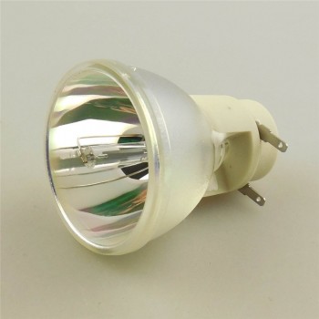 NP-U250X NP-U250XG NP-U260W NP-U260W+ NP-U260WG Replacement Projector Lamp Bulb NP19LP for NEC P-VIP 230/0.8 E20.8