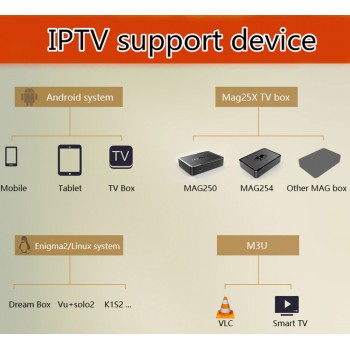 Spain IPTV Spanish Channel M3u Abonnement Iptv UK Italy Spaans france Germany Portugal Voor Android Box Enigma2 m3u Smart TV PC