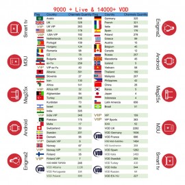 IPTV Subscription French italia Dutch Arabic Spain Sweden Portugal Poland Nordic USA UK Indian latino android Smart IPTV M3U