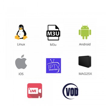 IPTV Subscription French italia Dutch Arabic Spain Sweden Portugal Poland Nordic USA UK Indian latino android Smart IPTV M3U
