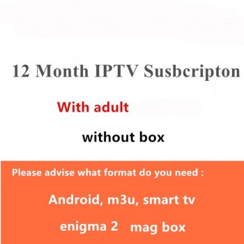 IPTV Subscription French italia Dutch Arabic Spain Sweden Portugal Poland Nordic USA UK Indian latino android Smart IPTV M3U