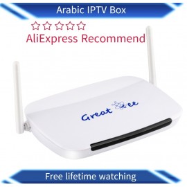 2018 the best Great Bee Arabic IPTV box android 4.4 wifi with free subscription free  shipping
