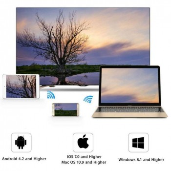 Wireless Wifi Display Dongle, HDMI 1080P Receiver Adapter, Support Chrome browser, YouTube,Netflix,Hulu Plus,IDMB,Quickflix, M