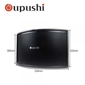 oupushi KB10 10 inch professional speaker 250W Conference audio and karaoke pro audio king karaoke