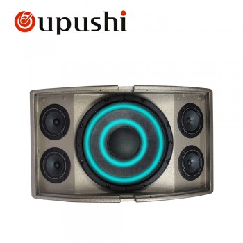 oupushi KB10 10 inch professional speaker 250W Conference audio and karaoke pro audio king karaoke