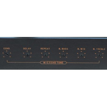 Professional Karaoke speaker + Recordable Karaoke Mixer Amplifier  for Club or Providte or business.  Great sound