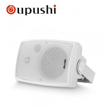 oupushi CL304 20W Home Theater System Black Background Speaker 2-Way In Wall Speaker