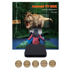 Development Customing Version 4K 2K H.265 HDR Advertising Player Power on and Video/Music/Picture Automatically,Smart  Players