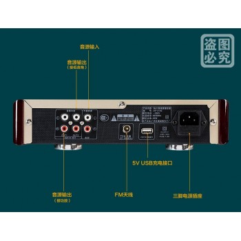 OUNUO DV318C Loseless Music (APE/FLAC/WAV/MP3/WMA) USB/SD Player Bluetooth/FM Radio/AUX Input/DSP/USB Chargeable/Remote Control