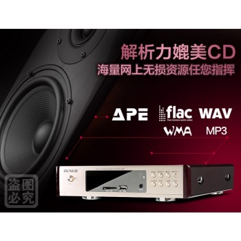 OUNUO DV318C Loseless Music (APE/FLAC/WAV/MP3/WMA) USB/SD Player Bluetooth/FM Radio/AUX Input/DSP/USB Chargeable/Remote Control