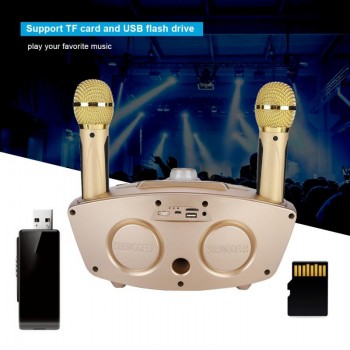 Portable Bluetooth KTV Karaoke Music Player Home Wireless Amplifier with 2pcs Microphone Support TF Card AUX