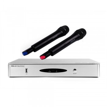 HD-HYNUDAL Home KTV HD Karaoke Player 4TB HDD Chinese Sing Machine with 80K Songs+Touch Screen+2 Wireless Microphone