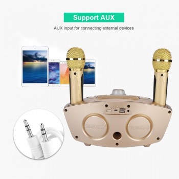 Portable KTV Karaoke Music Player Home Wireless Amplifier Player with Microphone Support TF Card AUX