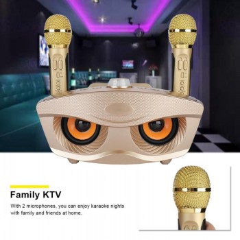Portable Bluetooth KTV Karaoke Player Home Wireless Amplifier Speaker Support TF Card FM AUX Input Outdoor Bluetooth Player