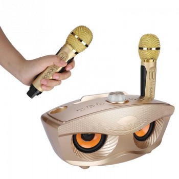 Portable Bluetooth KTV Karaoke Player Home Wireless Amplifier Speaker Support TF Card FM AUX Input Outdoor Bluetooth Player