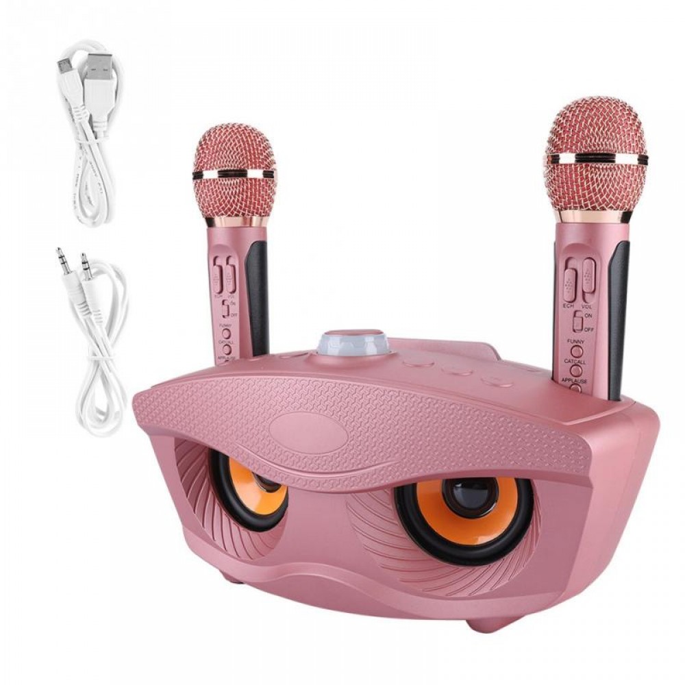 Karaoke Wireless Bluetooth Speaker Machine Home 2 Mircophones FM Radio Rose Gold  Support TF Card and U Disk