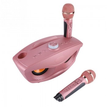 Karaoke Wireless Bluetooth Speaker Machine Home 2 Mircophones FM Radio Rose Gold  Support TF Card and U Disk