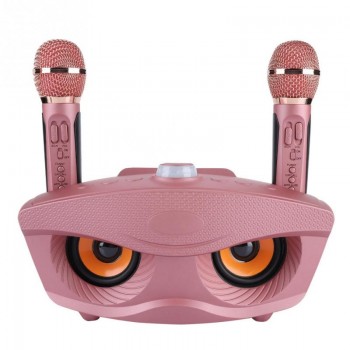 Karaoke Wireless Bluetooth Speaker Machine Home 2 Mircophones FM Radio Rose Gold  Support TF Card and U Disk
