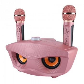 Karaoke Wireless Bluetooth Speaker Machine Home 2 Mircophones FM Radio Rose Gold  Support TF Card and U Disk