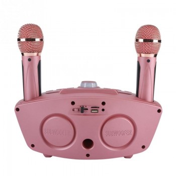 Karaoke Wireless Bluetooth Speaker Machine Home 2 Mircophones FM Radio Rose Gold  Support TF Card and U Disk