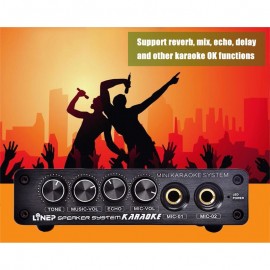 Mini Karaoke Sound Console Stereo Mixer Microphone Effector Preamplifier Amplifier  Plug eals @ 649 SD998