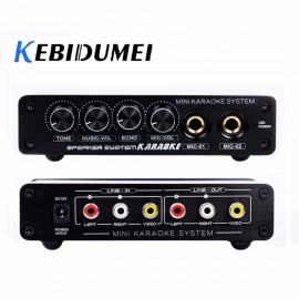 kebidumei A933 Karaoke Amplifier 12V RCA In and Out Cable + with US/EU/AU plug For PC Cellphone TV DJ