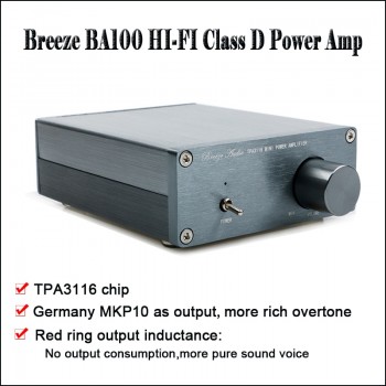 Breeze Audio BA100 Class D Power Amplifier Audio Amp TAP3116 Amplifier Hi fi Audio Amplifier Home Amplifiers