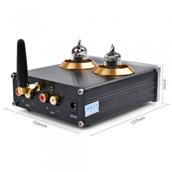 AIYIMA Bluetooth 4.2 Buffer HiFi 6J1 Tube Amplifier Stereo Tube Preamplifier With Treble Bass Tone Control For Home Theater