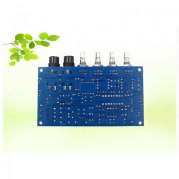 Aiyima PT2399 Digital Microphone Amplifier Board Karaoke Reverberation Board Karaoke OK Amplifier Module Dual AC12V