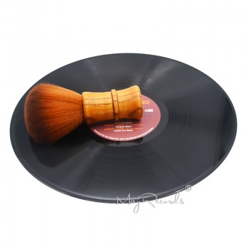 High Quality Special Cleaning Soft Brush for Vinyl LP Player Accessories