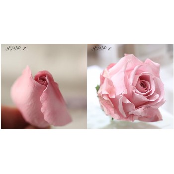 Rose petals veiner Sugar tool Meridians flower silicone cake mold simulation gum paste mould k100