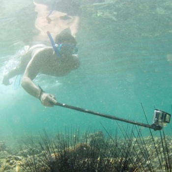 High Quality Waterproof Selfie Stick Monopod Tripod Telescoping Extendable Pole Handheld Camera Tripod amp; Tripod Mount For GoPro