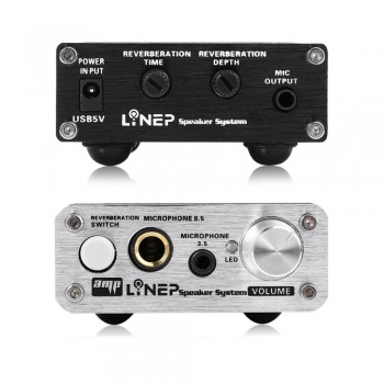 2 Channel Amplifier for Karaoke Dynamic Microphone Mini Mic Audio Amplifier Microphone Sound Amplifier Mic Reverberation