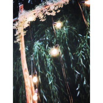 MEHOFOTO Green Spring Tree Lights Garland Gate Romantic Grass  Wedding Ceremony Backgrounds Photography Backdrop Photo Studio