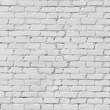 5x7ft Vinyl Photography Background White brick wall Wedding Backdrop Children Photo Background for photo Studio F-1465
