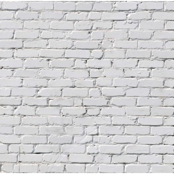 5x7ft Vinyl Photography Background White brick wall Wedding Backdrop Children Photo Background for photo Studio F-1465