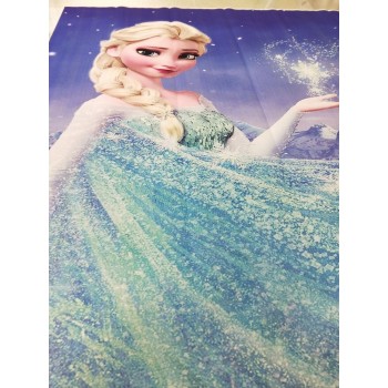 5x7ft HUAYI Birthday Party Photography Newborn Backdrop for Frozen Dessert table Cartoon Background D-8309