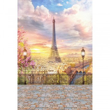 Laeacco Cloudy Eiffel Tower Paris Lanterns View Platform Photography Backgrounds Custom Photographic Backdrops For Photo Studio
