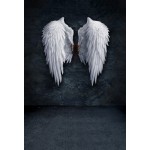 Laeacco Old White Wings Dark Color Wall Brick Floor Photography Backgrounds Customized Photographic Backdrops For Photo Studio