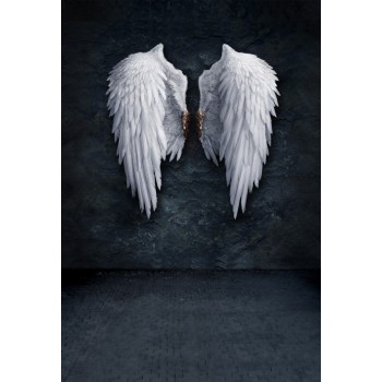Laeacco Old White Wings Dark Color Wall Brick Floor Photography Backgrounds Customized Photographic Backdrops For Photo Studio