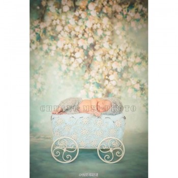 Computer-printed Vinyl Photo Backgrounds newborn Photography backdrops for Photo studio 1.5X2.2m cm-5161