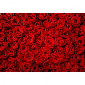 Allenjoy red rose background for photo studio flower wedding Valentines backdrop photophone photobooth professional photo prop