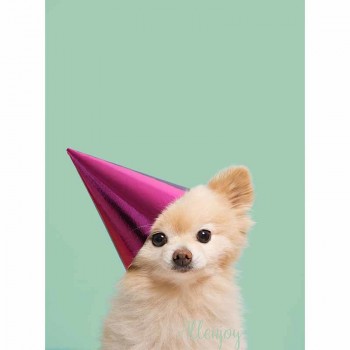 Mint green solid background for photo studio pure color photography backdrop photoshoot portrait prop photocall